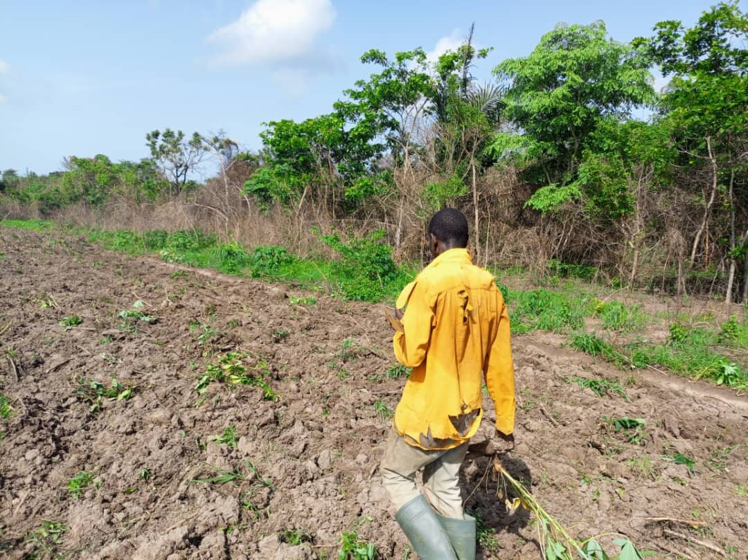 Sustainable farming