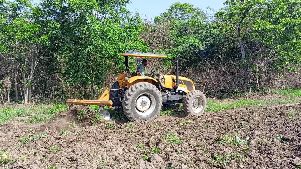 Ryvanz-Mia Childcare yearly farm project