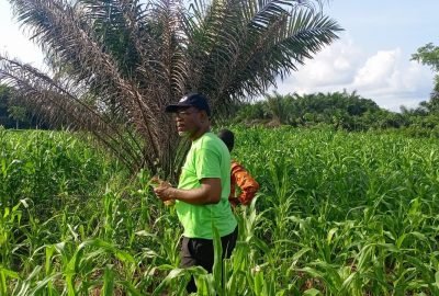 Founder-inspecting-two-acre-maize-farm.jpg Founder-inspecting-two-acre-maize-farm.jpg
